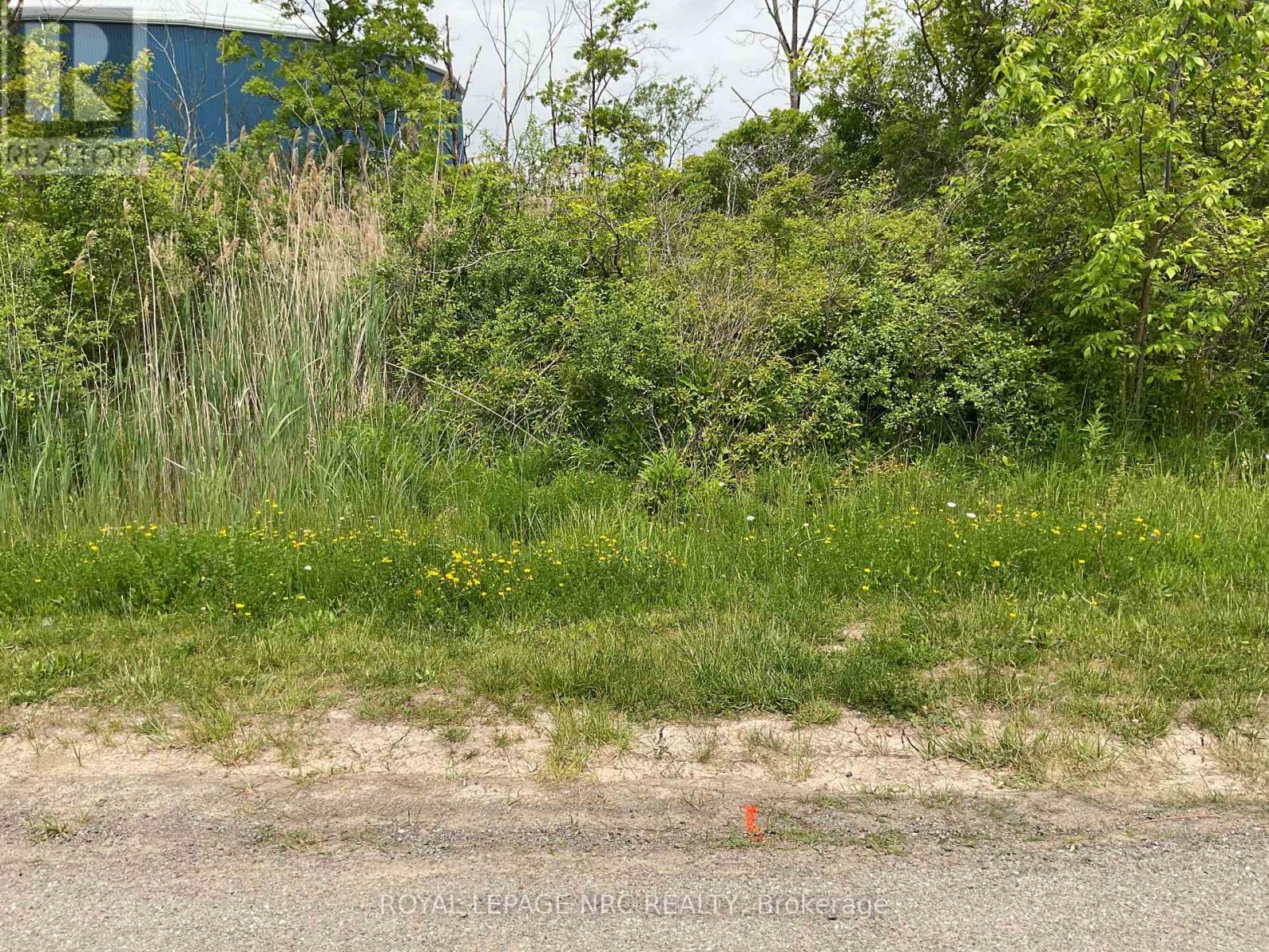 26 Shaw Street, Welland, Ontario  L3B 5W8 - Photo 5 - X13417418