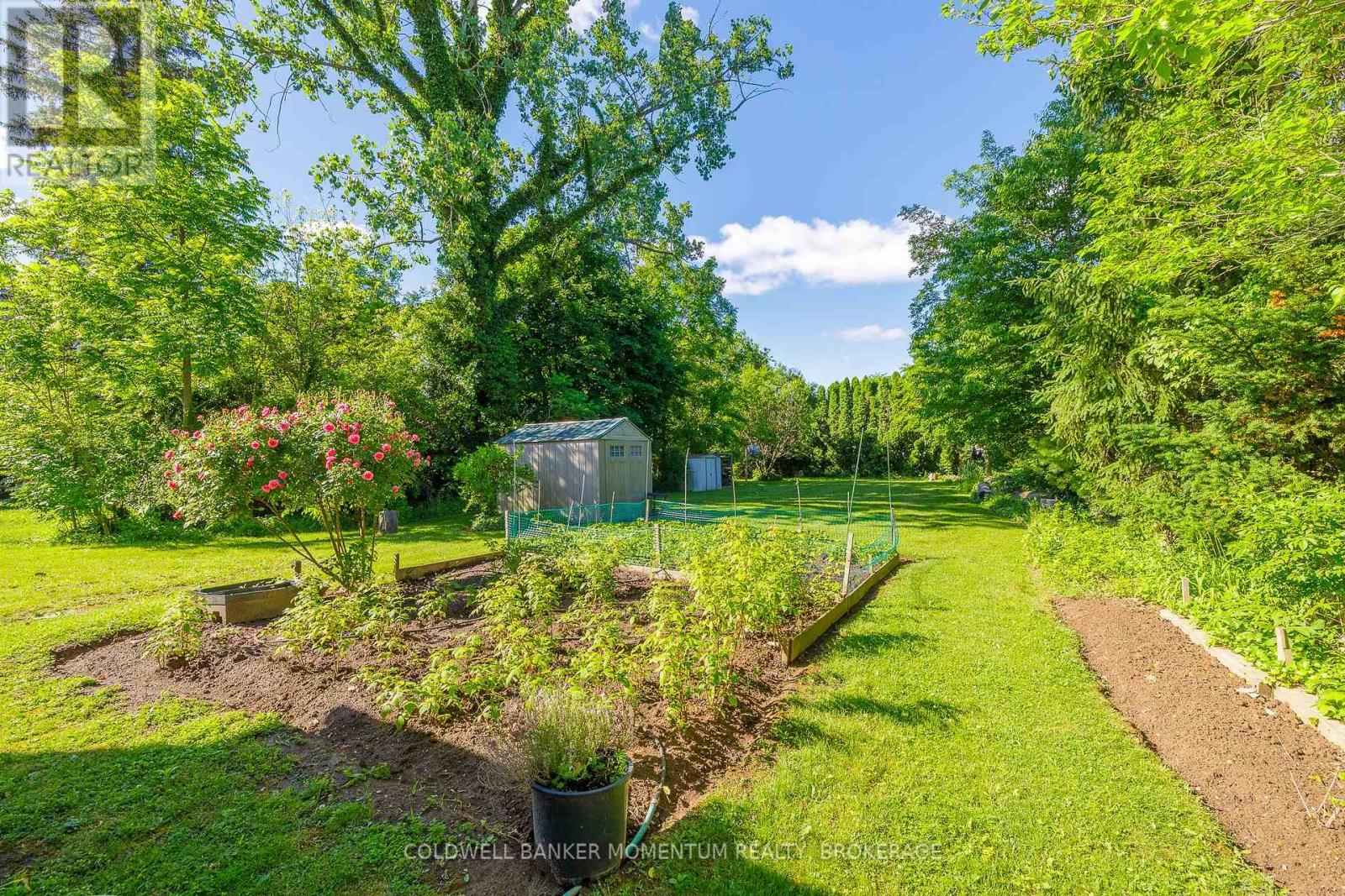 376 William Street, Niagara-On-The-Lake, Ontario  L0S 1J0 - Photo 18 - X13451894