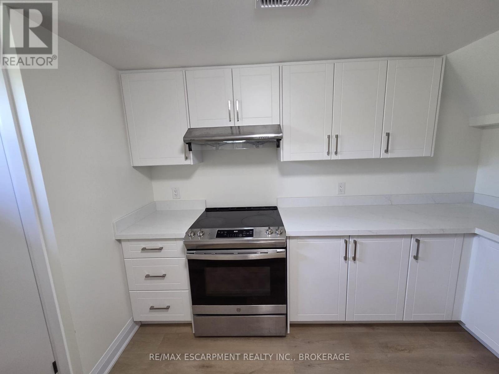 Lower - 12 Ferndale Avenue, St. Catharines, Ontario  L2P 1V3 - Photo 3 - X13456742