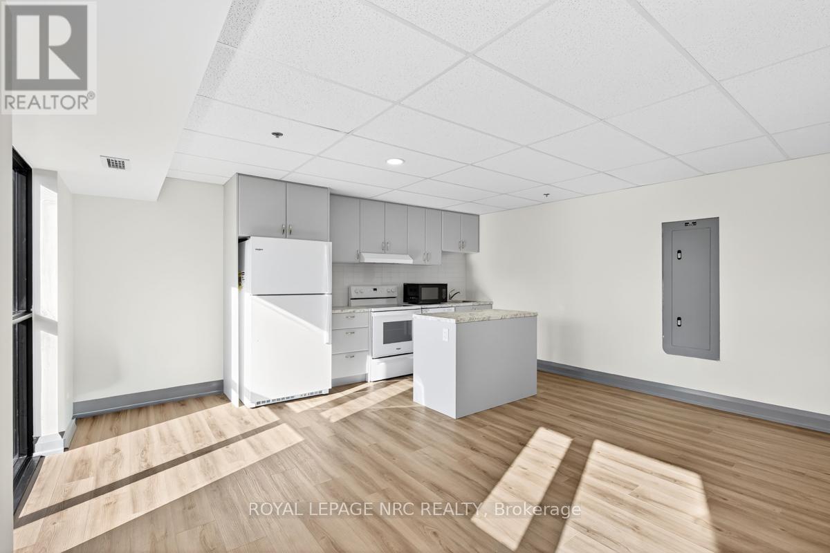 Lp19 - 50 Herrick Avenue, St. Catharines, Ontario  L2P 2T9 - Photo 11 - X13457124