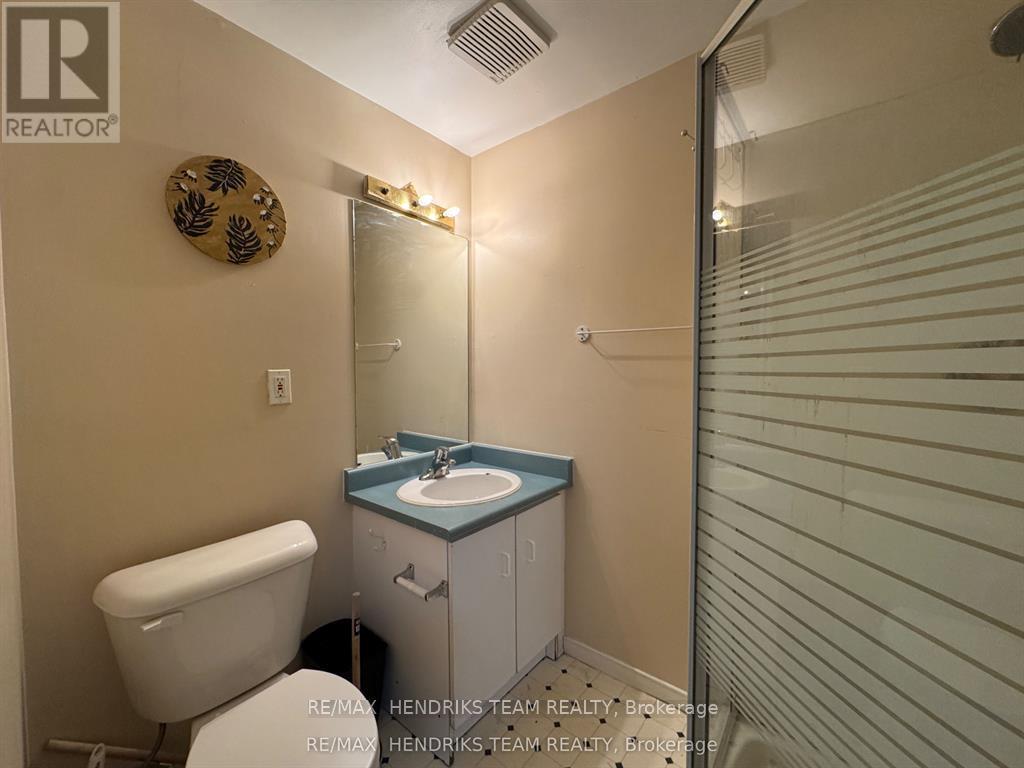 308 Oakdale Avenue, St. Catharines, Ontario  L2P 2T5 - Photo 12 - X13467850
