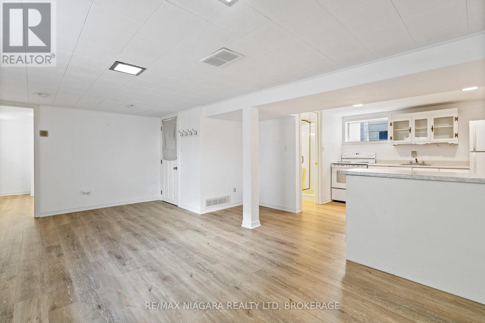 Basement - 88 Wiley Street, St. Catharines, Ontario  L2R 4H1 - Photo 6 - X13469126
