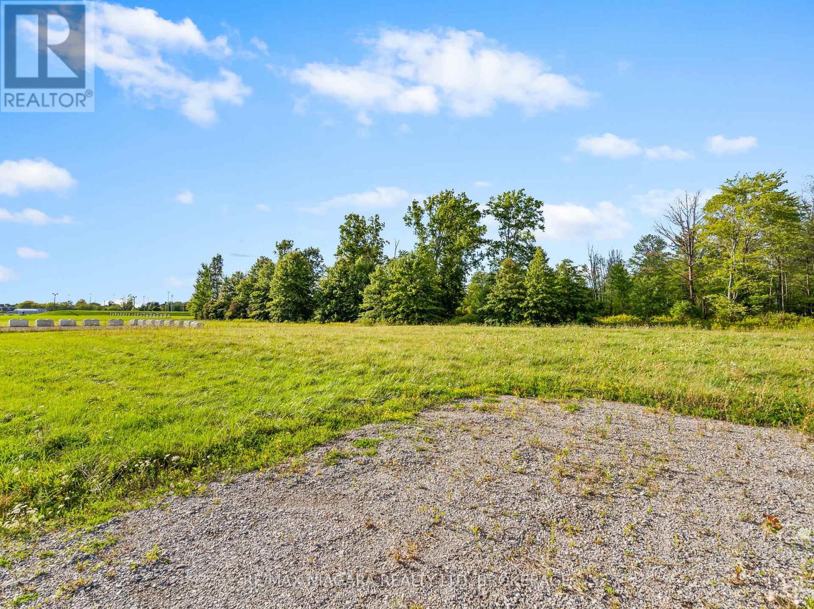 31810 Jacob Lane, Wainfleet, Ontario  L0S 1V0 - Photo 17 - X13485712
