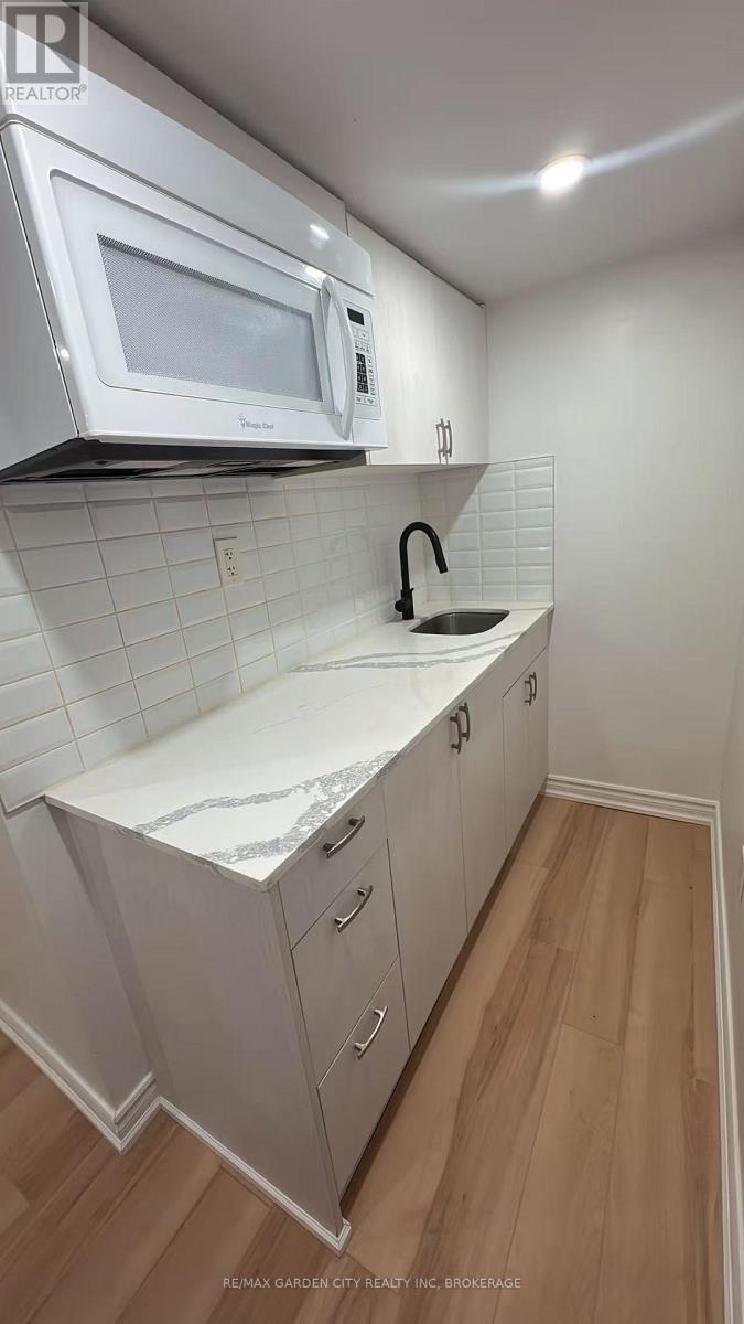 56 South Drive, St. Catharines, Ontario  L2R 4V2 - Photo 28 - X13529910