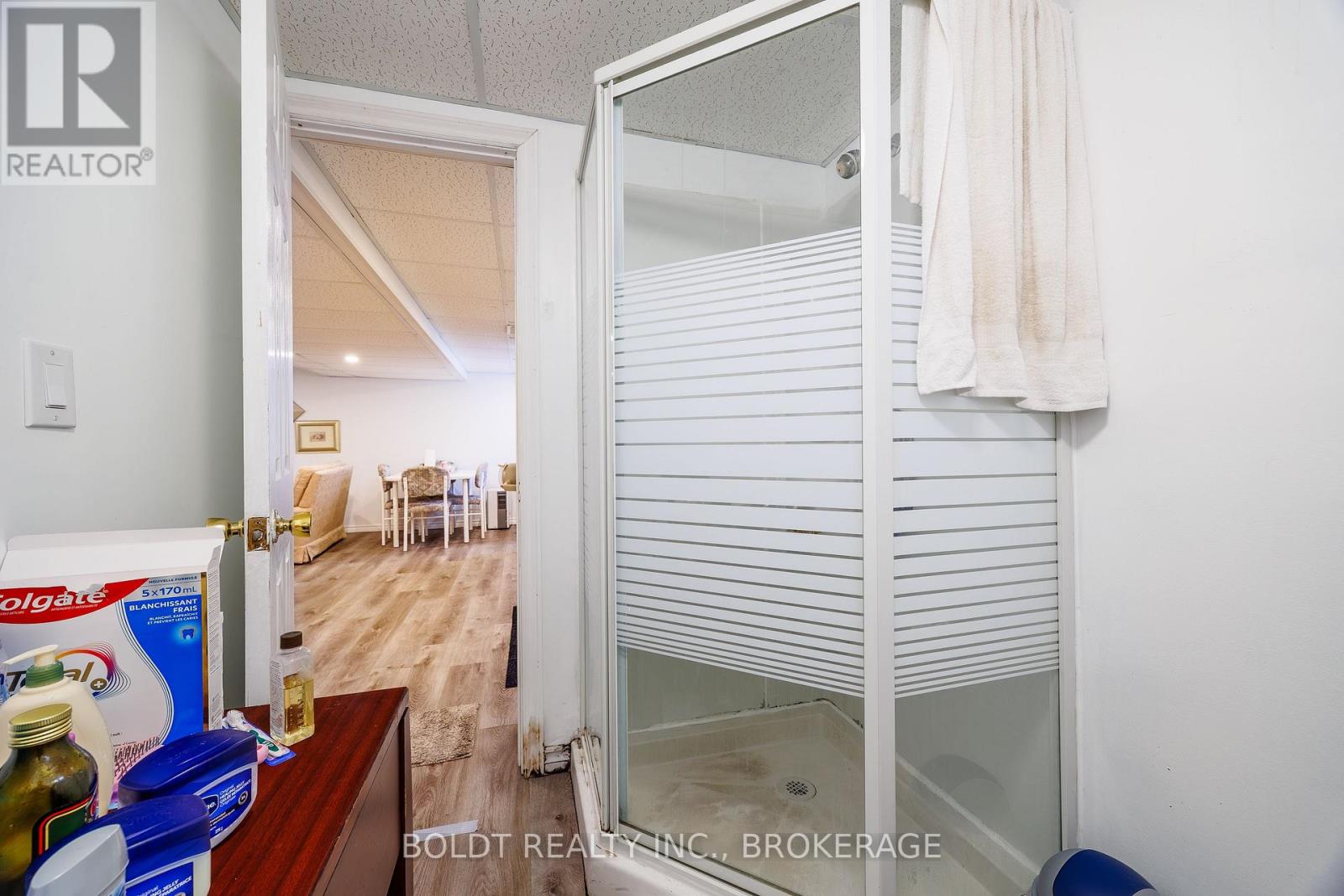 Basement - 126 Elma Street, St. Catharines, Ontario  L2N 6A2 - Photo 10 - X13559462