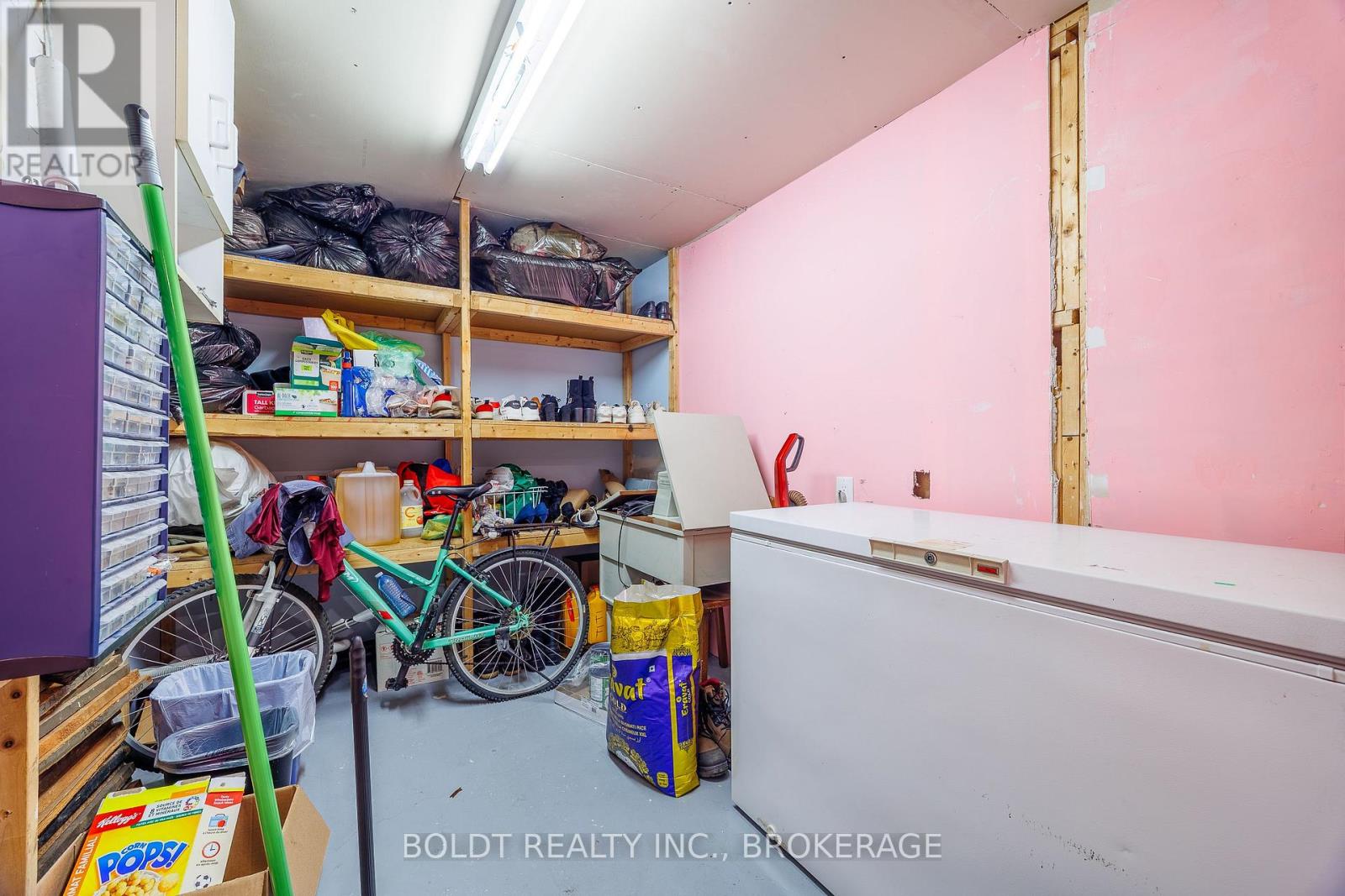 Basement - 126 Elma Street, St. Catharines, Ontario  L2N 6A2 - Photo 8 - X13559462