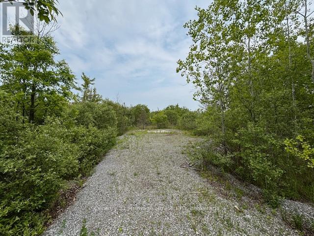 655 Pleasant Beach Road, Port Colborne, Ontario  L0S 1R0 - Photo 9 - X13575736