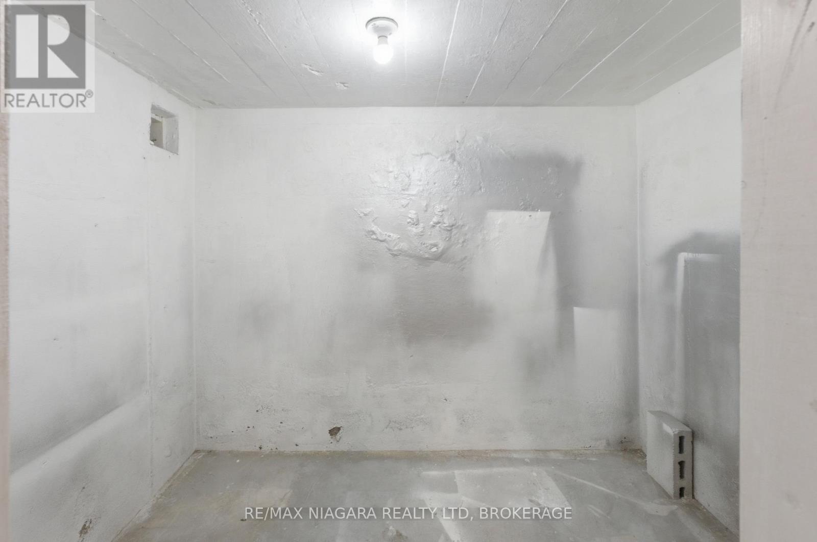 Basement - 250 Grantham Avenue, St. Catharines, Ontario  L2M 4Z5 - Photo 11 - X13585256