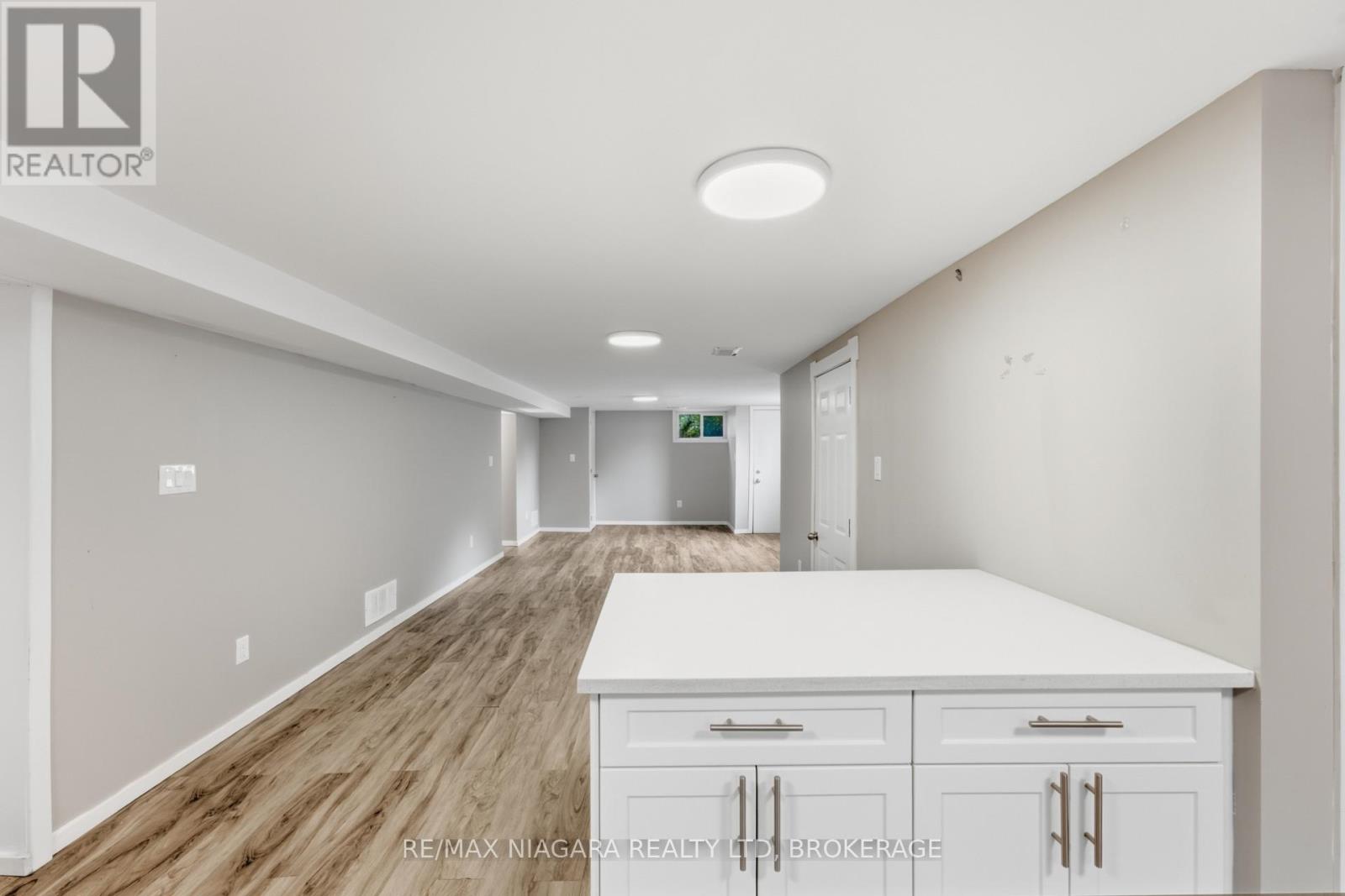 Basement - 250 Grantham Avenue, St. Catharines, Ontario  L2M 4Z5 - Photo 3 - X13585256