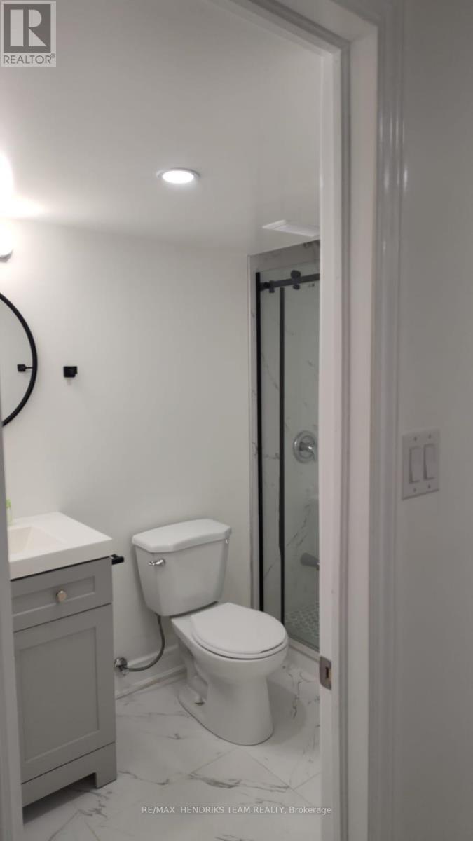 Basement - 199 Port Crescent E, Welland, Ontario  L3B 0N2 - Photo 2 - X13591228