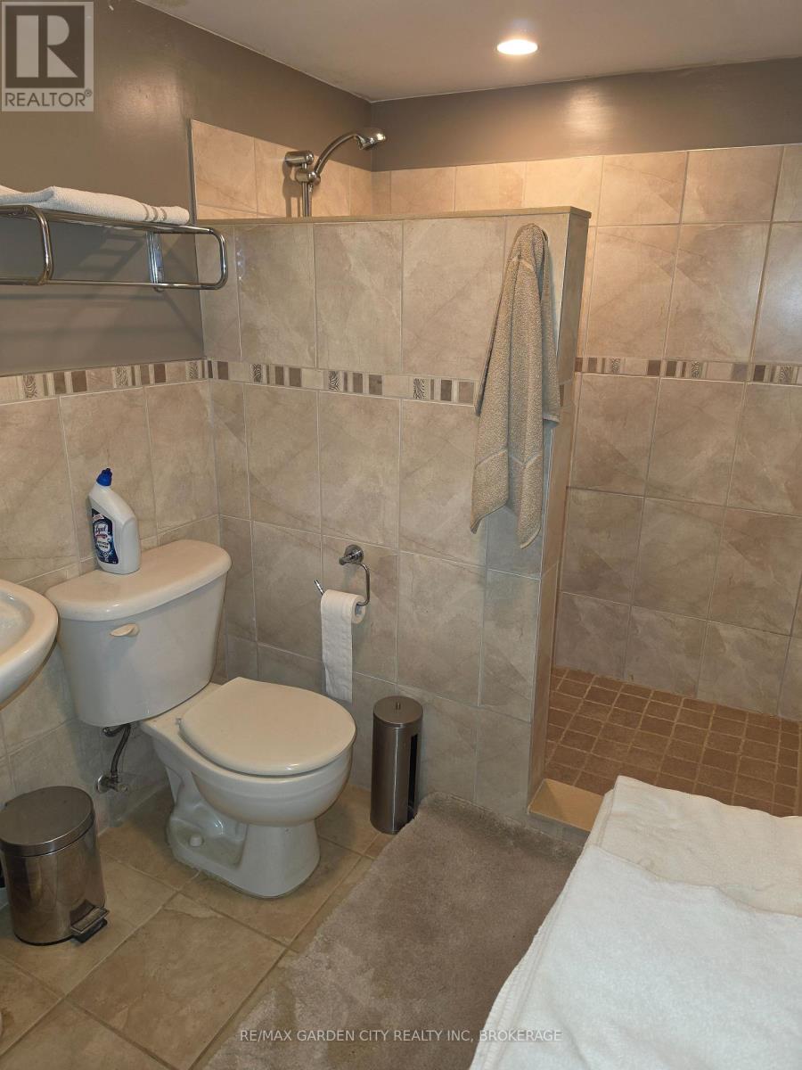 49 Ursula Avenue, St. Catharines, Ontario  L2T 1T2 - Photo 9 - X13591514