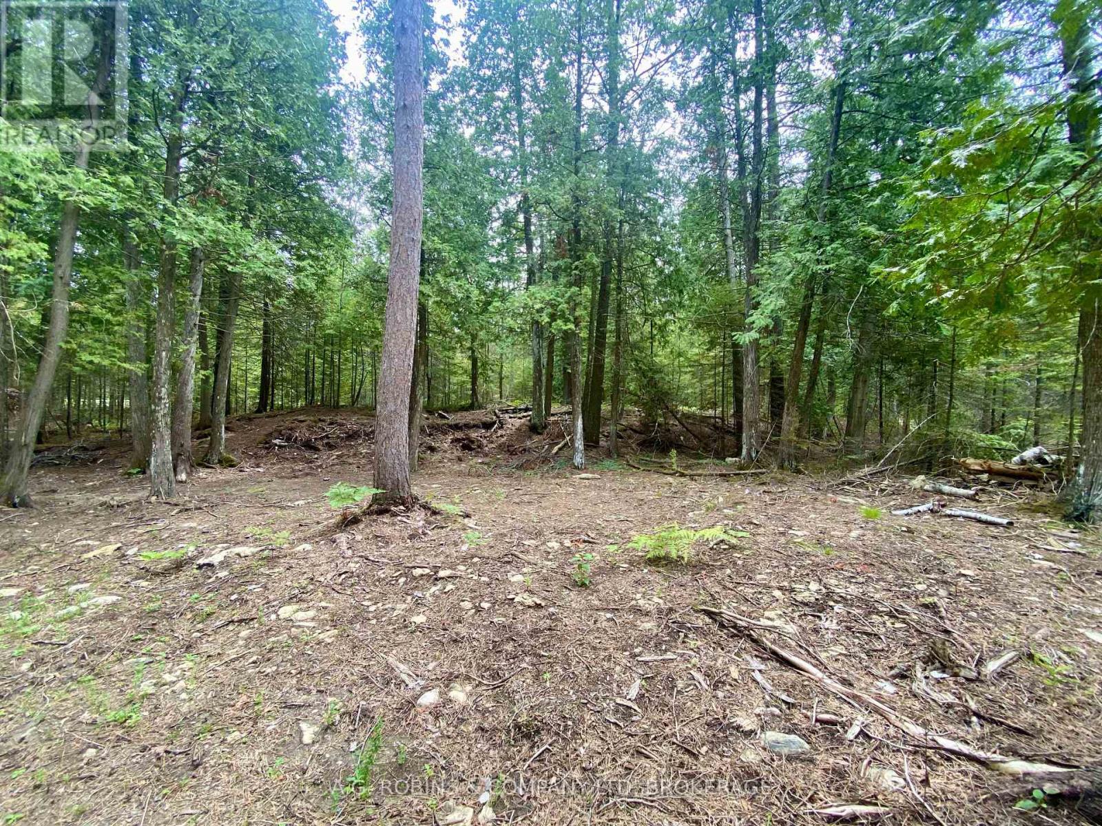 262 Johnsons Harbour Road, Northern Bruce Peninsula, Ontario  N0H 2R0 - Photo 16 - X13596078
