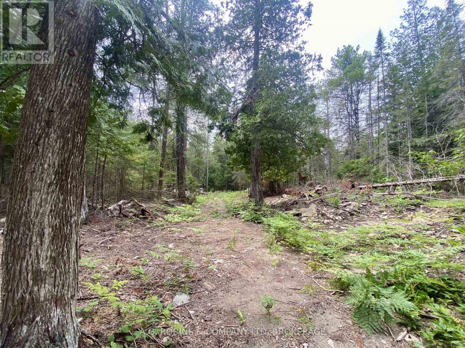 262 Johnsons Harbour Road, Northern Bruce Peninsula, Ontario  N0H 2R0 - Photo 17 - X13596078