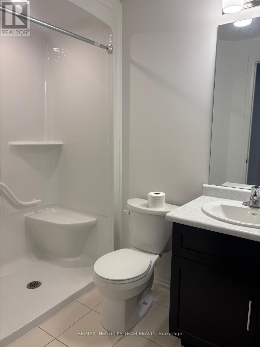 Basement Unit Only - 146 Bur Oak Drive, Thorold, Ontario  L2V 0L7 - Photo 5 - X13612446