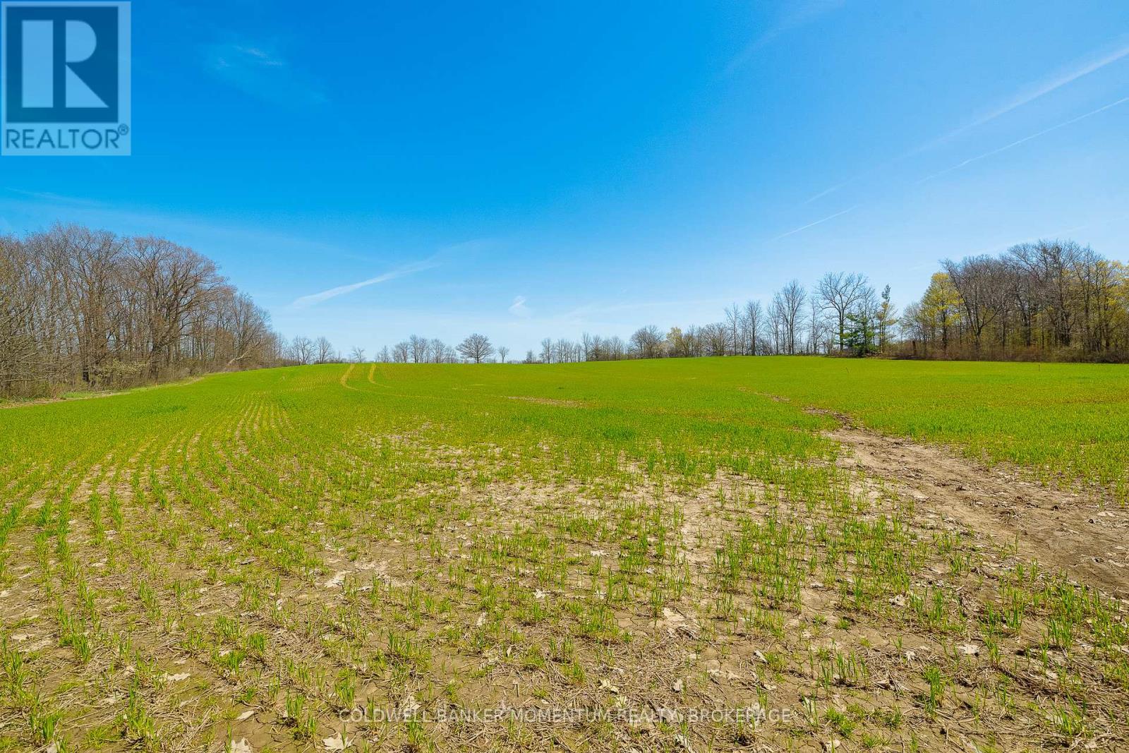 Pt Lot 7 Con 9 Tintern Road, Lincoln, Ontario  L0R 2C0 - Photo 10 - X13612708