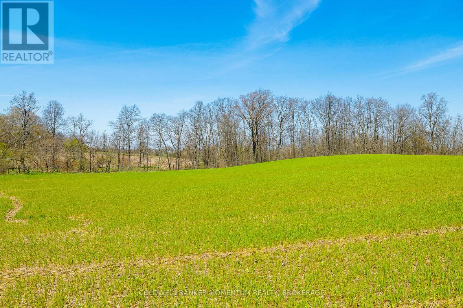 Pt Lot 7 Con 9 Tintern Road, Lincoln, Ontario  L0R 2C0 - Photo 14 - X13612708