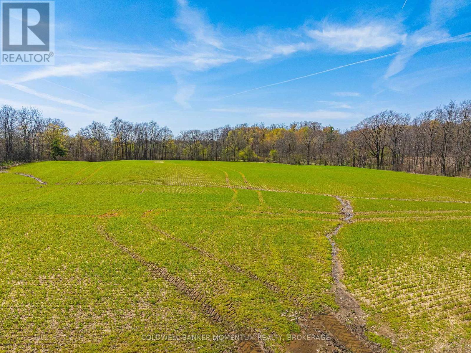 Pt Lot 7 Con 9 Tintern Road, Lincoln, Ontario  L0R 2C0 - Photo 19 - X13612708