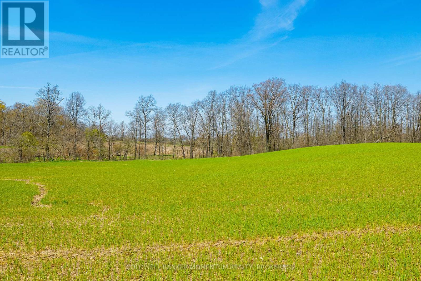 Pt Lot 7 Con 9 Tintern Road, Lincoln, Ontario  L0R 2C0 - Photo 4 - X13612708