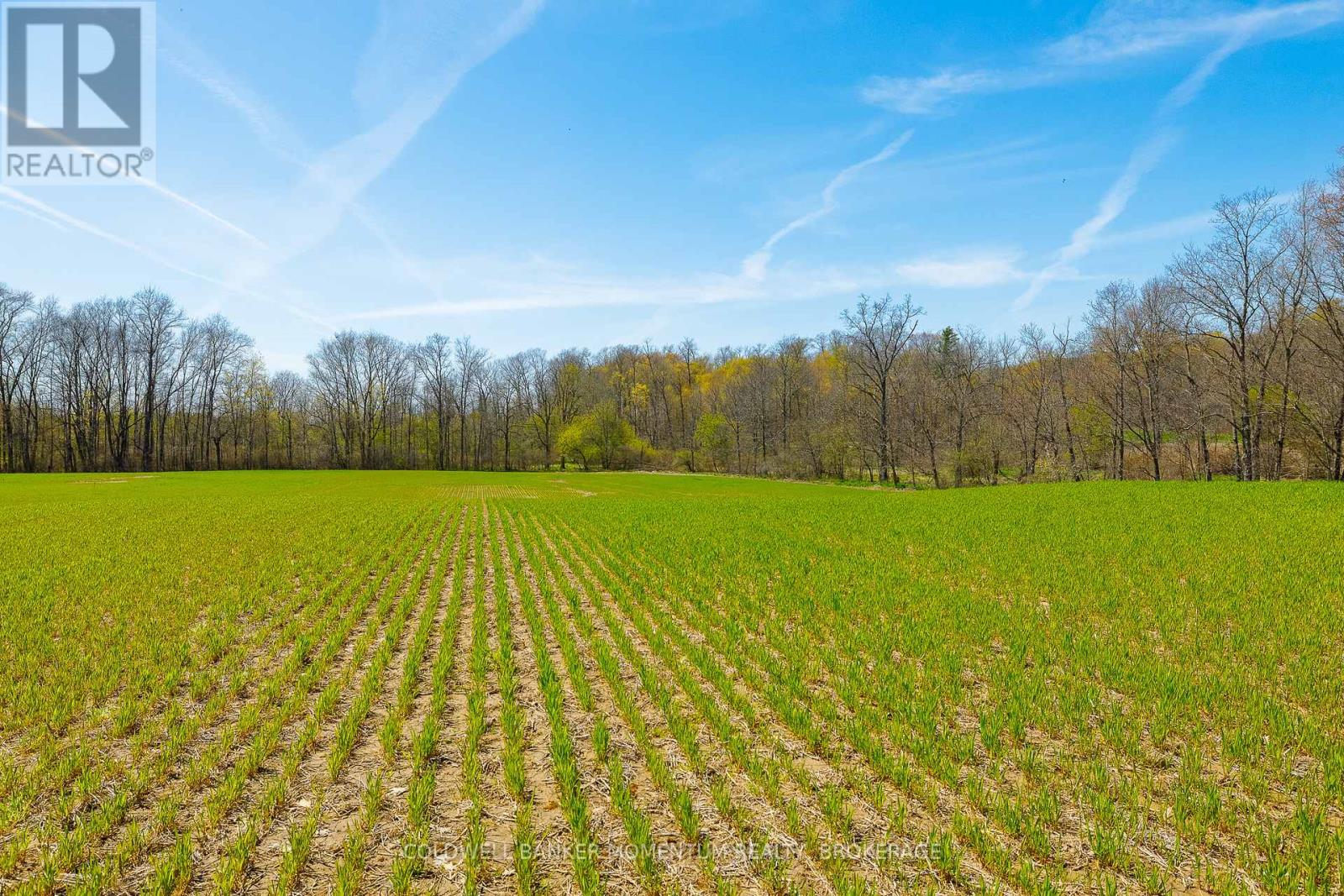 Pt Lot 7 Con 9 Tintern Road, Lincoln, Ontario  L0R 2C0 - Photo 8 - X13612708