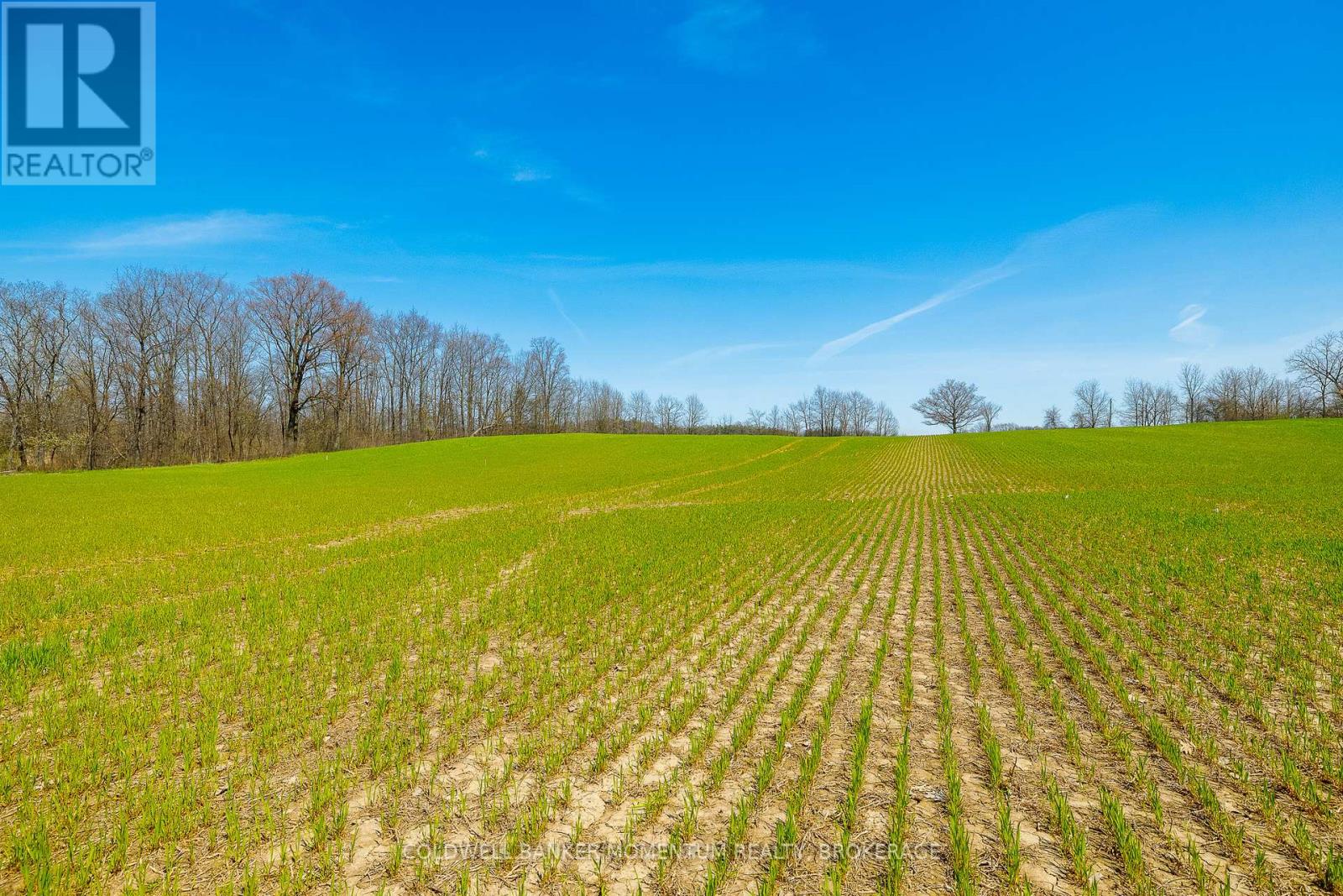 Pt Lot 7 Con 9 Tintern Road, Lincoln, Ontario  L0R 2C0 - Photo 9 - X13612708