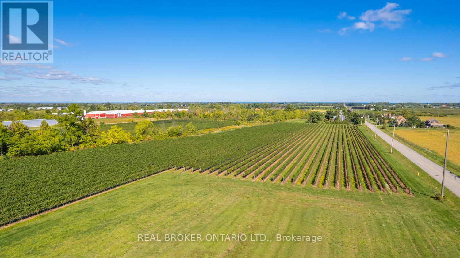 3811 King Street, Lincoln, Ontario  L0R 1B1 - Photo 6 - X13617982