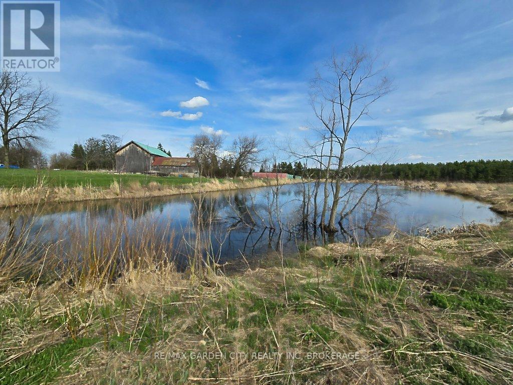 1030 Metler Road, Pelham, Ontario  L0S 1C0 - Photo 6 - X13647174