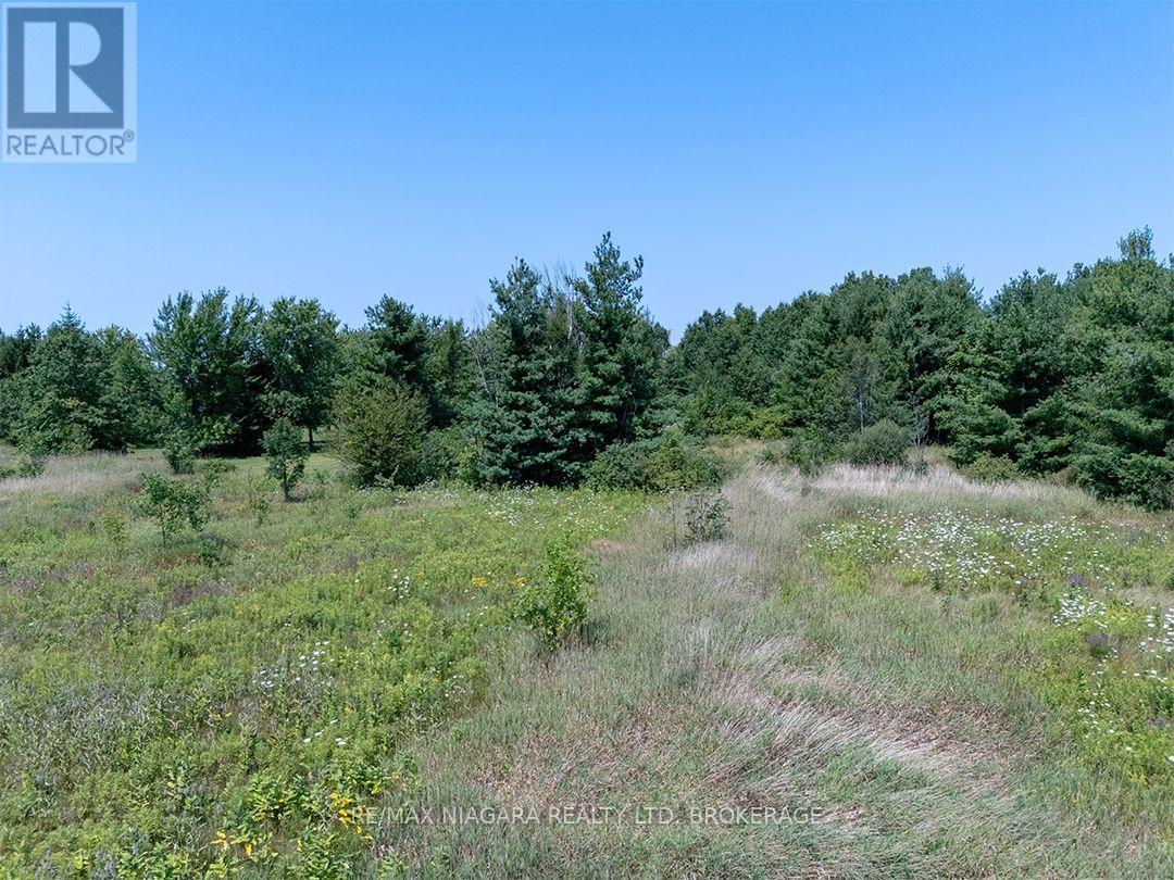 Ns Forks Road W, Wainfleet, Ontario  L0S 1V0 - Photo 10 - X13680820