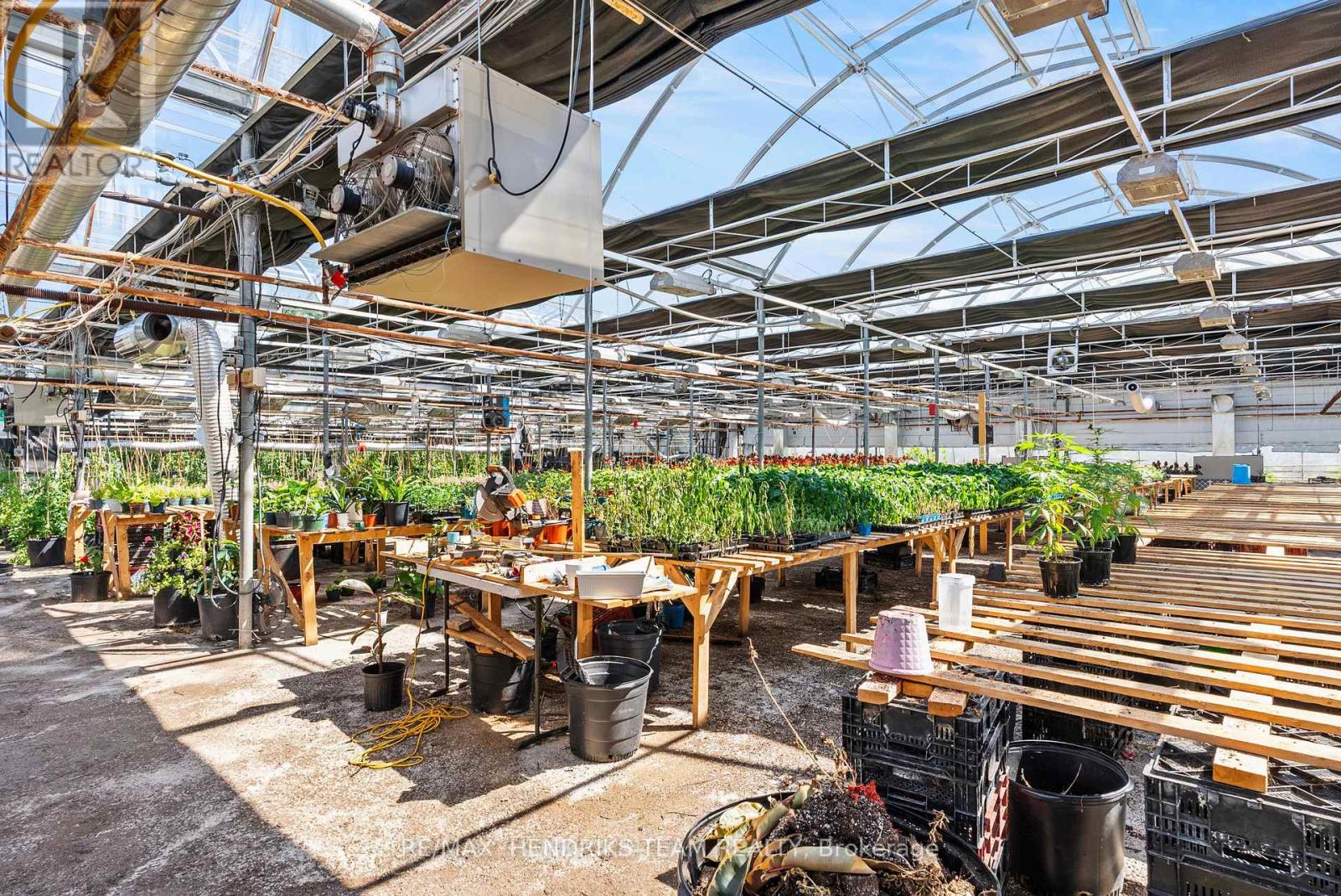 1648 Third Avenue, St. Catharines, Ontario  L2R 6P9 - Photo 43 - X13696338
