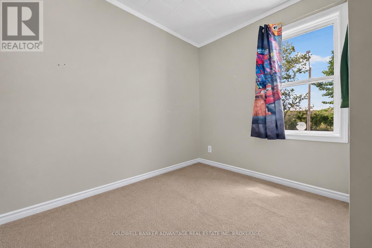 229 Dain Avenue, Welland, Ontario  L3B 3E7 - Photo 15 - X13778494