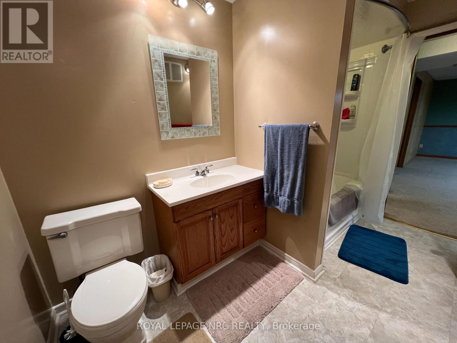 46 Andrea Drive, St. Catharines, Ontario  L2S 3N8 - Photo 15 - X13781296