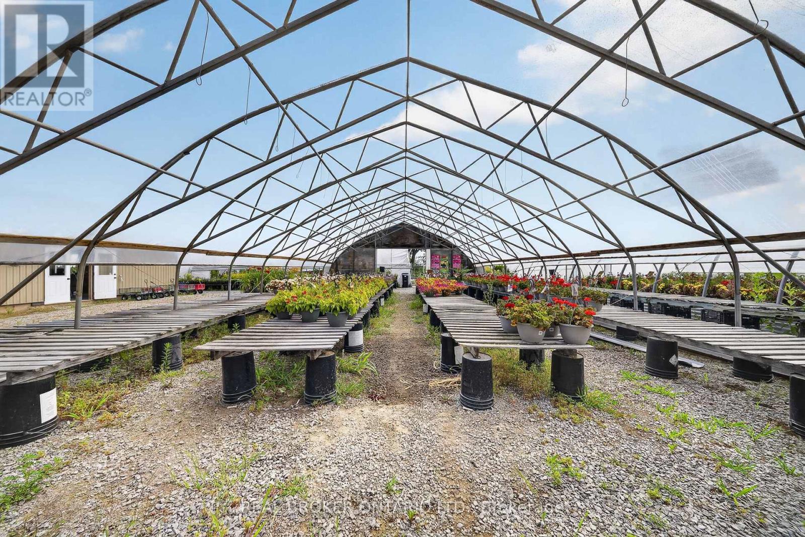 230 Hwy 20 E, Thorold, Ontario  L0S 1E6 - Photo 12 - X13781676