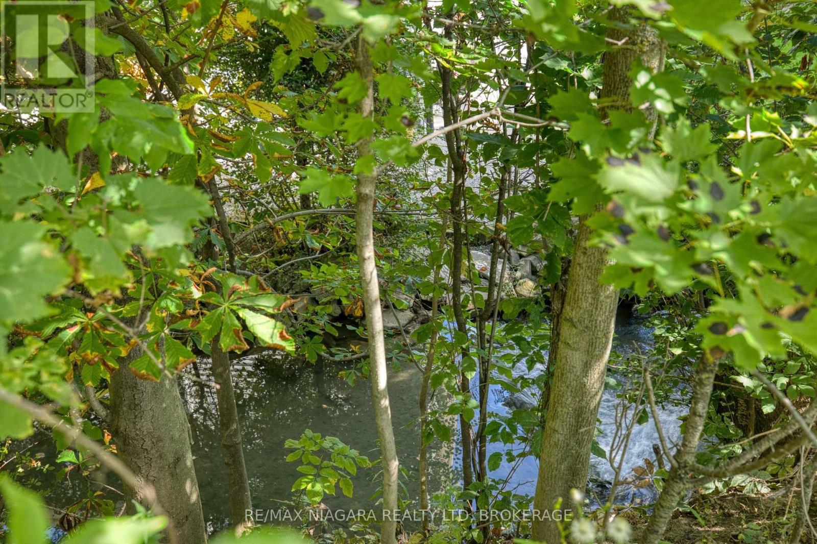 4166 Chippawa Parkway, Niagara Falls, Ontario  L2G 6E5 - Photo 4 - X13806564