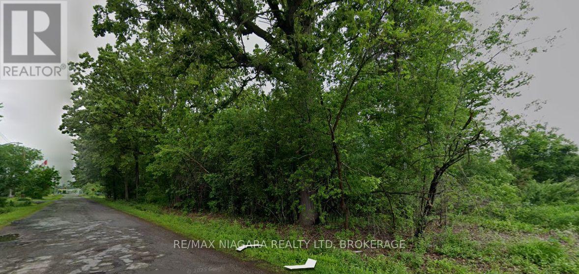 Lot 237 Sims Avenue, Fort Erie, Ontario  L2A 6A9 - Photo 5 - X13844316