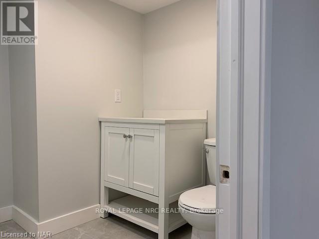 Basement - 448 Grantham Avenue, St. Catharines, Ontario  L2M 3J3 - Photo 7 - X13865334