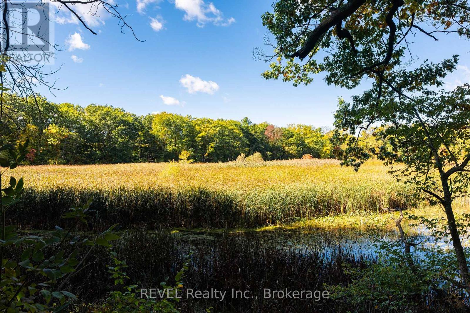 1629 Gregory Road, St. Catharines, Ontario  L2R 6P9 - Photo 30 - X13874918