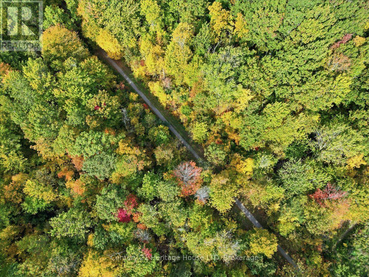 Part Lot 19, Concession 1 Station Road, Wainfleet, Ontario  L0S 1V0 - Photo 5 - X14096356