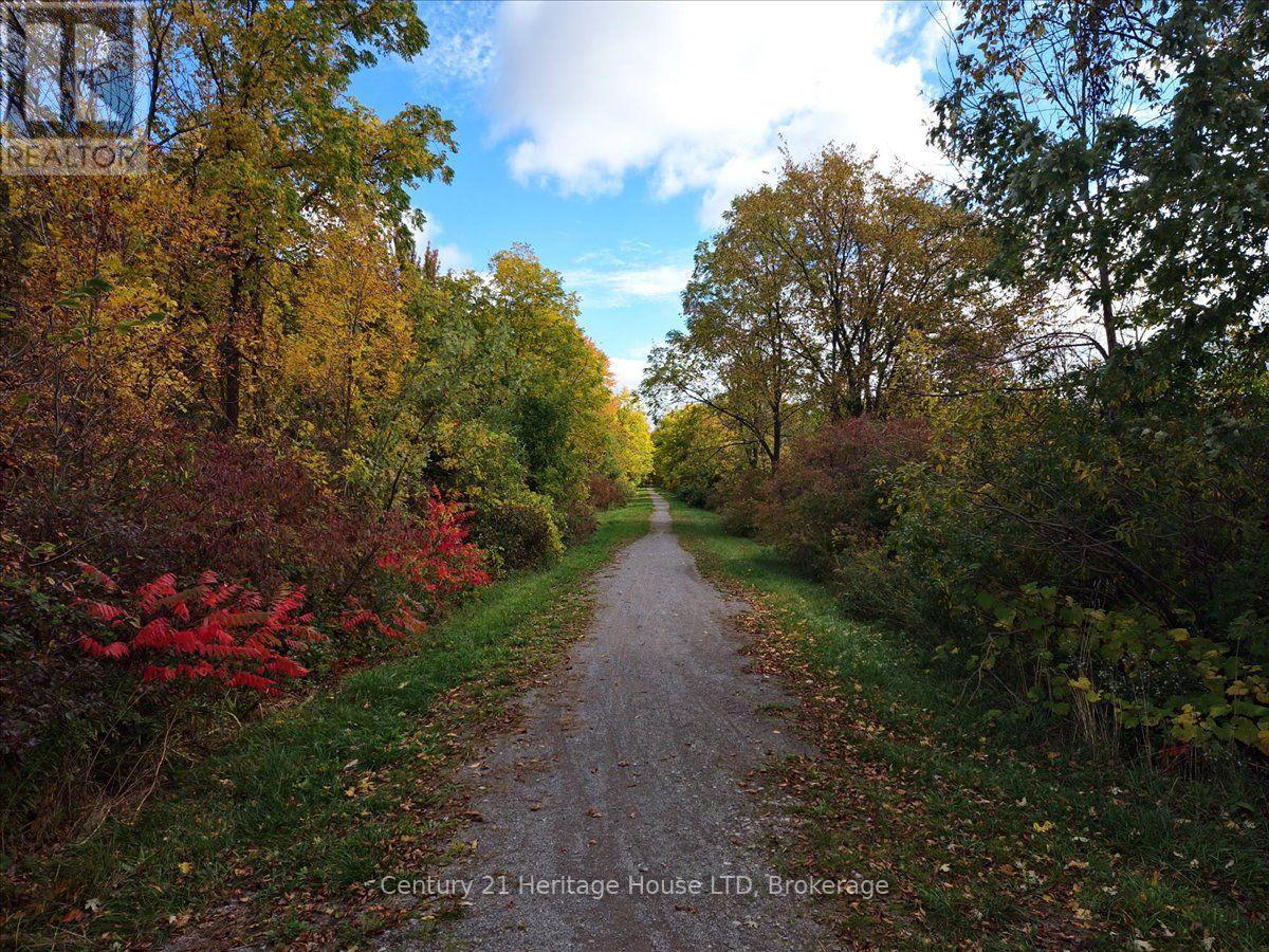 Part Lot 19, Concession 1 Station Road, Wainfleet, Ontario  L0S 1V0 - Photo 6 - X14096356