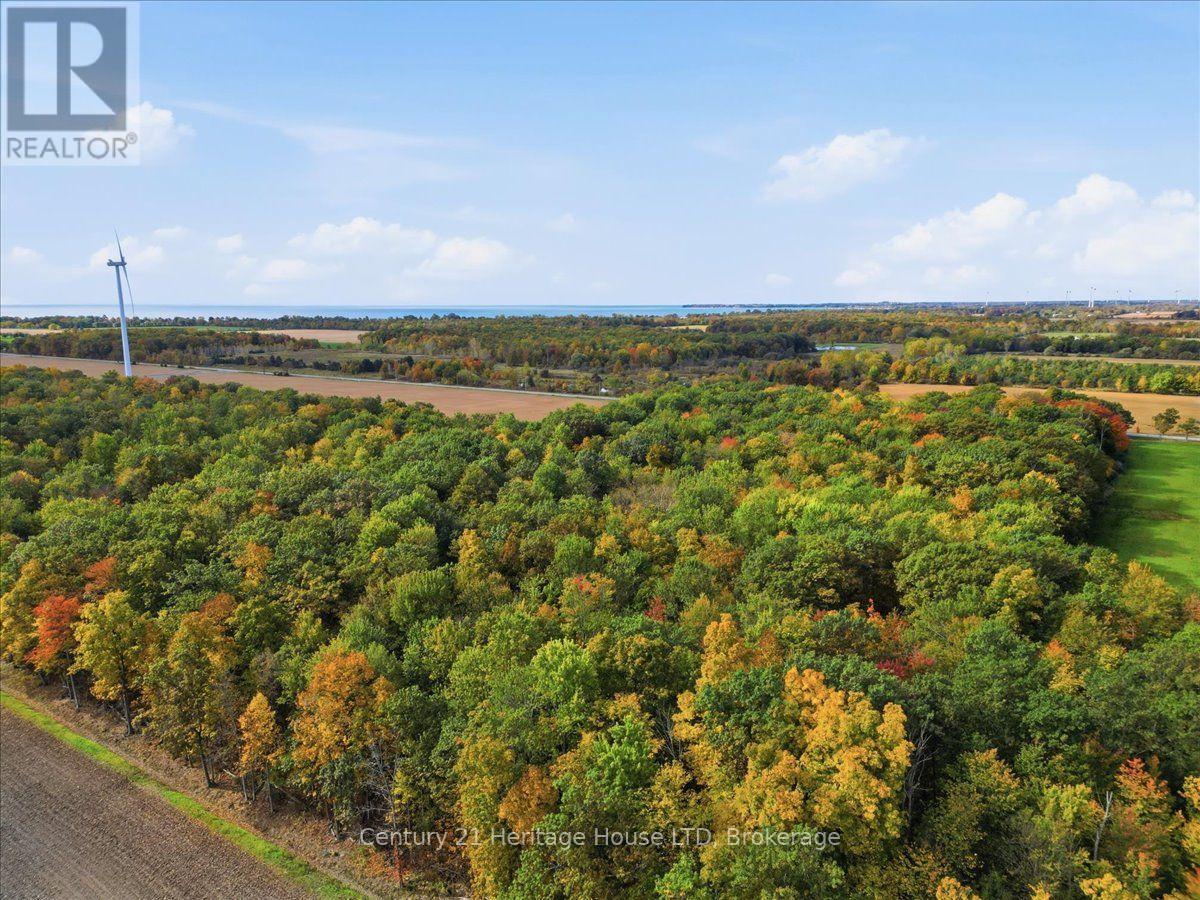 Part Lot 19, Concession 1 Station Road, Wainfleet, Ontario  L0S 1V0 - Photo 9 - X14096356