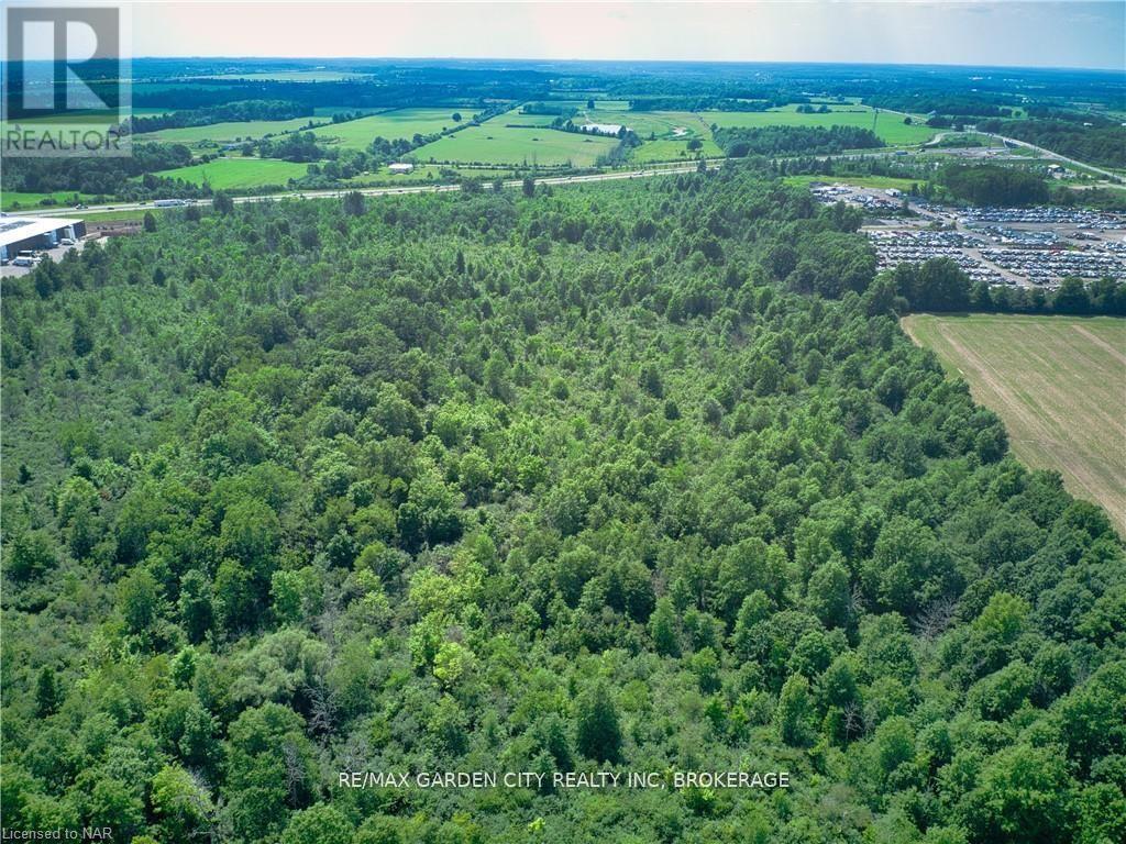 Pt Lt 7 Con 5 Pettit Pt1 Road, Fort Erie, Ontario  L2A 5M4 - Photo 2 - X14107388